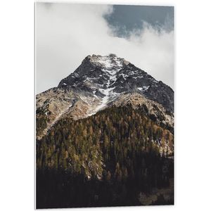 WallClassics - PVC Schuimplaat - Berg achter het Bos - 60x90 cm Foto op PVC Schuimplaat (Met Ophangsysteem)