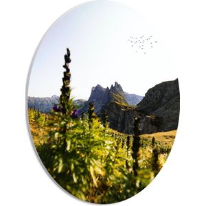 WallClassics - PVC Schuimplaat Ovaal - Bloemen en Vogels bij Bergen - 30x40 cm Foto op Ovaal  (Met Ophangsysteem)