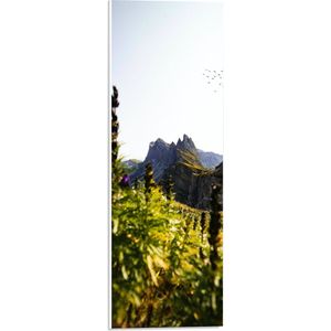 WallClassics - PVC Schuimplaat- Bloemen en Vogels bij Bergen - 20x60 cm Foto op PVC Schuimplaat