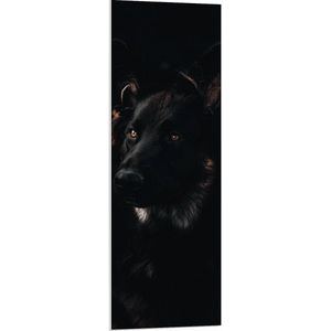 WallClassics - PVC Schuimplaat- Zwarte Hond met Zwarte Achtergrond - 40x120 cm Foto op PVC Schuimplaat