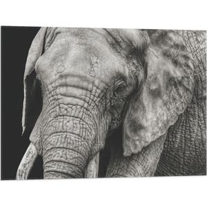 WallClassics - Vlag - Olifant Zwart -Wit - 80x60 cm Foto op Polyester Vlag