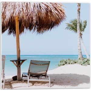 WallClassics - PVC Schuimplaat- Ligbedden onder Rieten Parasol met Palmboom - 50x50 cm Foto op PVC Schuimplaat