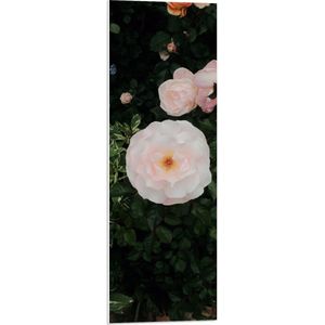 WallClassics - PVC Schuimplaat - Japanse Camellia Bloem op Groene Struik - 30x90 cm Foto op PVC Schuimplaat (Met Ophangsysteem)
