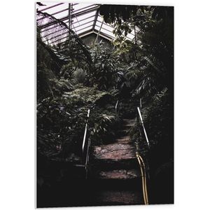 PVC Schuimplaat- KIeine Trap in Begroeide Kas - 60x90 cm Foto op PVC Schuimplaat