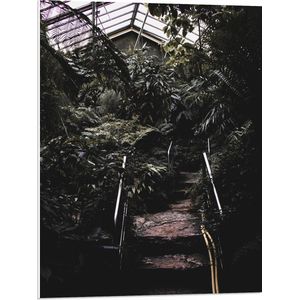 PVC Schuimplaat - KIeine Trap in Begroeide Kas - 60x80 cm Foto op PVC Schuimplaat (Met Ophangsysteem)