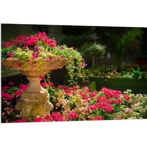 WallClassics - PVC Schuimplaat - Felroze Bloemen uit Fontein - 120x80 cm Foto op PVC Schuimplaat (Met Ophangsysteem)