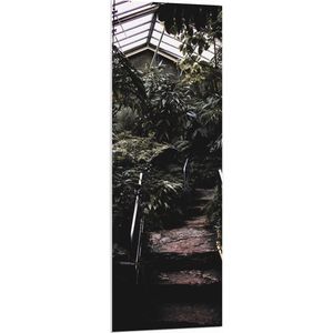 WallClassics - PVC Schuimplaat- Kleine Trap in Begroeide Kas - 50x150 cm Foto op PVC Schuimplaat
