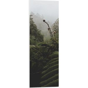 PVC Schuimplaat- Groene Tropische Planten bij Mistige Lucht - 30x90 cm Foto op PVC Schuimplaat