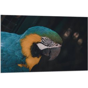 WallClassics - Vlag - Blauw met Gele Vogel - Ara - 105x70 cm Foto op Polyester Vlag