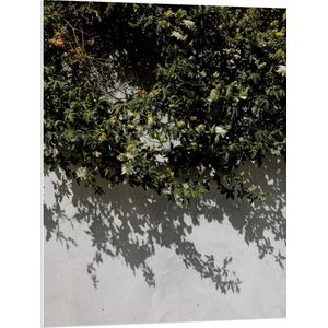WallClassics - PVC Schuimplaat - Witte Muur met Groene Planten - 75x100 cm Foto op PVC Schuimplaat (Met Ophangsysteem)