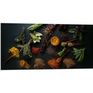 PVC Schuimplaat - Verzameling Planten en Kruiden - 100x50 cm Foto op PVC Schuimplaat (Met Ophangsysteem)