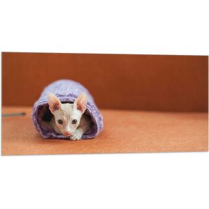 WallClassics - Vlag - Naakte Kitten in Paars Dekentje Gerold - 100x50 cm Foto op Polyester Vlag