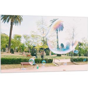 WallClassics - Vlag - Park met Palmbomen en Bellenblaas - 105x70 cm Foto op Polyester Vlag