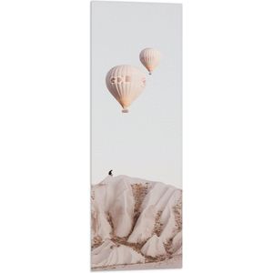 WallClassics - Vlag - Beige en Bruine Luchtballonnen boven Rotslandschap - 30x90 cm Foto op Polyester Vlag