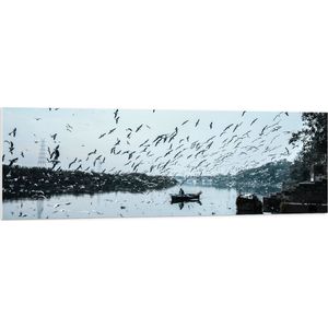 WallClassics - PVC Schuimplaat- Zwerm Vogels boven Rivier - 150x50 cm Foto op PVC Schuimplaat