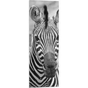 WallClassics - Vlag - Kop van Prachtige Zebra (Zwart- wit) - 30x90 cm Foto op Polyester Vlag