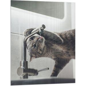 WallClassics - Vlag - Grijze Kat drinkend uit Kraan - 75x100 cm Foto op Polyester Vlag