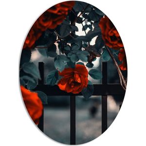 WallClassics - PVC Schuimplaat Ovaal - Rode Bloemen in Groene Struik bij Hek - 72x96 cm Foto op Ovaal (Met Ophangsysteem)
