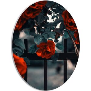 WallClassics - PVC Schuimplaat Ovaal - Rode Bloemen in Groene Struik bij Hek - 30x40 cm Foto op Ovaal (Met Ophangsysteem)