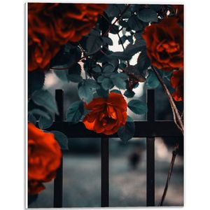 WallClassics - PVC Schuimplaat - Rode Bloemen in Groene Struik bij Hek - 30x40 cm Foto op PVC Schuimplaat (Met Ophangsysteem)