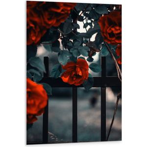WallClassics - PVC Schuimplaat - Rode Bloemen in Groene Struik bij Hek - 80x120 cm Foto op PVC Schuimplaat (Met Ophangsysteem)