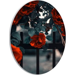 WallClassics - PVC Schuimplaat Ovaal - Rode Bloemen in Groene Struik bij Hek - 21x28 cm Foto op Ovaal (Met Ophangsysteem)