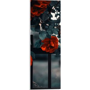 WallClassics - PVC Schuimplaat - Rode Bloemen in Groene Struik bij Hek - 20x60 cm Foto op PVC Schuimplaat (Met Ophangsysteem)
