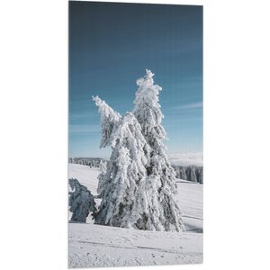 WallClassics - Vlag - Dikke Sneeuwlaag op Boom in Wit Landschap - 50x100 cm Foto op Polyester Vlag