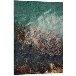WallClassics - PVC Schuimplaat- Bevroren Planten onder het IJs - 80x120 cm Foto op PVC Schuimplaat