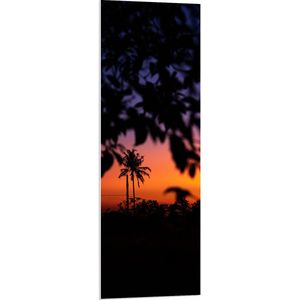 WallClassics - PVC Schuimplaat - Silhouet van Bladeren aan Struiken bij de Avondzon - 40x120 cm Foto op PVC Schuimplaat (Met Ophangsysteem)