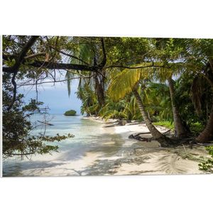 WallClassics - PVC Schuimplaat - Natuurgebied in Panama, Amerika - 75x50 cm Foto op PVC Schuimplaat (Met Ophangsysteem)