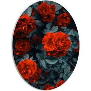 WallClassics - PVC Schuimplaat Ovaal - Rode Volle Bloemen in Donkergroene Struik - 30x40 cm Foto op Ovaal (Met Ophangsysteem)