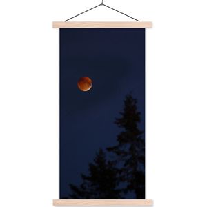 BEACH TIME Shirt  turquoise / grijs gemêleerd