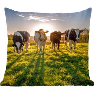 Sierkussens - Kussentjes Woonkamer - 50x50 cm - Koeien - Zon - Gras - Dieren - Boerderij