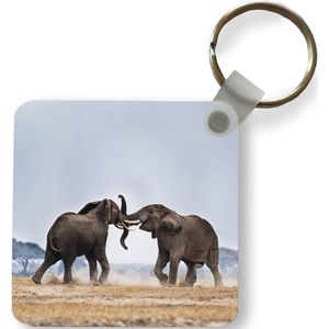 Sleutelhanger - Olifant - Dieren - Vlakte - Natuur - Plastic - Rond - Uitdeelcadeautjes