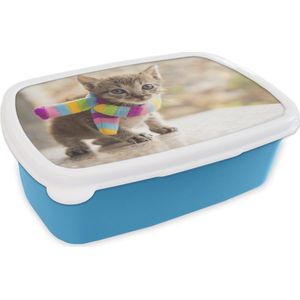 Broodtrommel Blauw - Lunchbox - Brooddoos - Kitten - Sjaal - Kleuren - Meisjes - Kinderen - Jongens - Kindje - 18x12x6 cm - Kinderen - Jongen