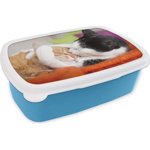 Broodtrommel Blauw - Lunchbox - Brooddoos - Katten - Knuffel - Dierendag - 18x12x6 cm - Kinderen - Jongen