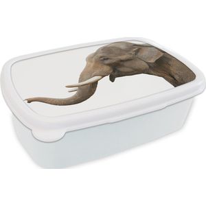 Broodtrommel Wit - Lunchbox - Brooddoos - Olifant - Tanden - Wit - 18x12x6 cm - Volwassenen