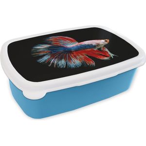 Broodtrommel Blauw - Lunchbox - Brooddoos - Vis - Zeedier - Staart - Blauw - 18x12x6 cm - Kinderen - Jongen