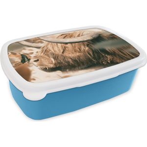 Broodtrommel Blauw - Lunchbox - Brooddoos - Schotse hooglander - Vlinder - Dieren - 18x12x6 cm - Kinderen - Jongen