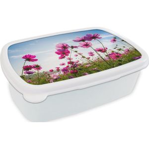 Broodtrommel Wit - Lunchbox - Brooddoos - Bloemen - Roze - Cosmea - 18x12x6 cm - Volwassenen