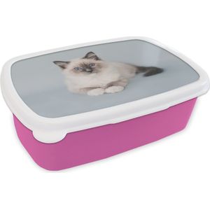 Broodtrommel Roze - Lunchbox Kat - Ragdoll Kat - Blauw - Meisjes - Kinderen - Jongens - Kindje - Brooddoos 18x12x6 cm - Brood lunch box - Broodtrommels voor kinderen en volwassenen