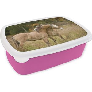 Broodtrommel Roze - Lunchbox - Brooddoos - Twee knuffelende fjord paarden in de herfst - 18x12x6 cm - Kinderen - Meisje