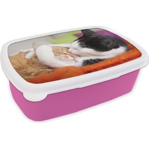 Broodtrommel Roze - Lunchbox - Brooddoos - Katten - Knuffel - Dierendag - 18x12x6 cm - Kinderen - Meisje