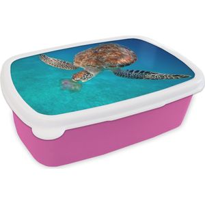 Broodtrommel Roze - Lunchbox - Brooddoos - Groene schildpad met kwal - 18x12x6 cm - Kinderen - Meisje