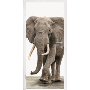 Deursticker kind - Muurdecoratie jongenskamer - Olifant - Kinderen - Jongens - Dieren - Meisjes - 95x215 cm - Deursticker meisjes - Decoratie voor kinderkamers