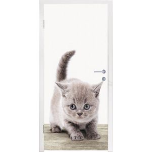 Deursticker kids - Decoratie kinderkamers - Kitten - Kat - Huisdieren - Jongens - Kinderen - Meisjes - 90x235 cm - Deursticker dieren - Stickers voor kinderen