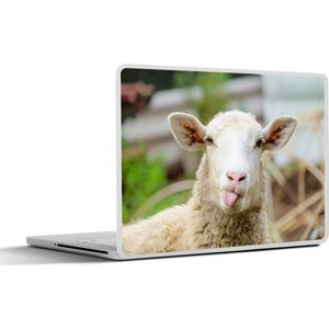 Laptop sticker - 14 inch - Schaap - Dieren - Wol - 32x5x23x5cm - Laptopstickers - Laptop skin - Cover