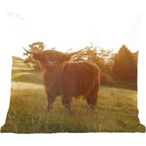 Sierkussen - Schotse Hooglander Gras Zon - Multicolor - 45 Cm X 45 Cm