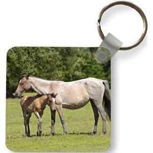 Sleutelhanger - Uitdeelcadeautjes - Paarden - Gras - Schaduw - Plastic
